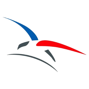 AAE logo